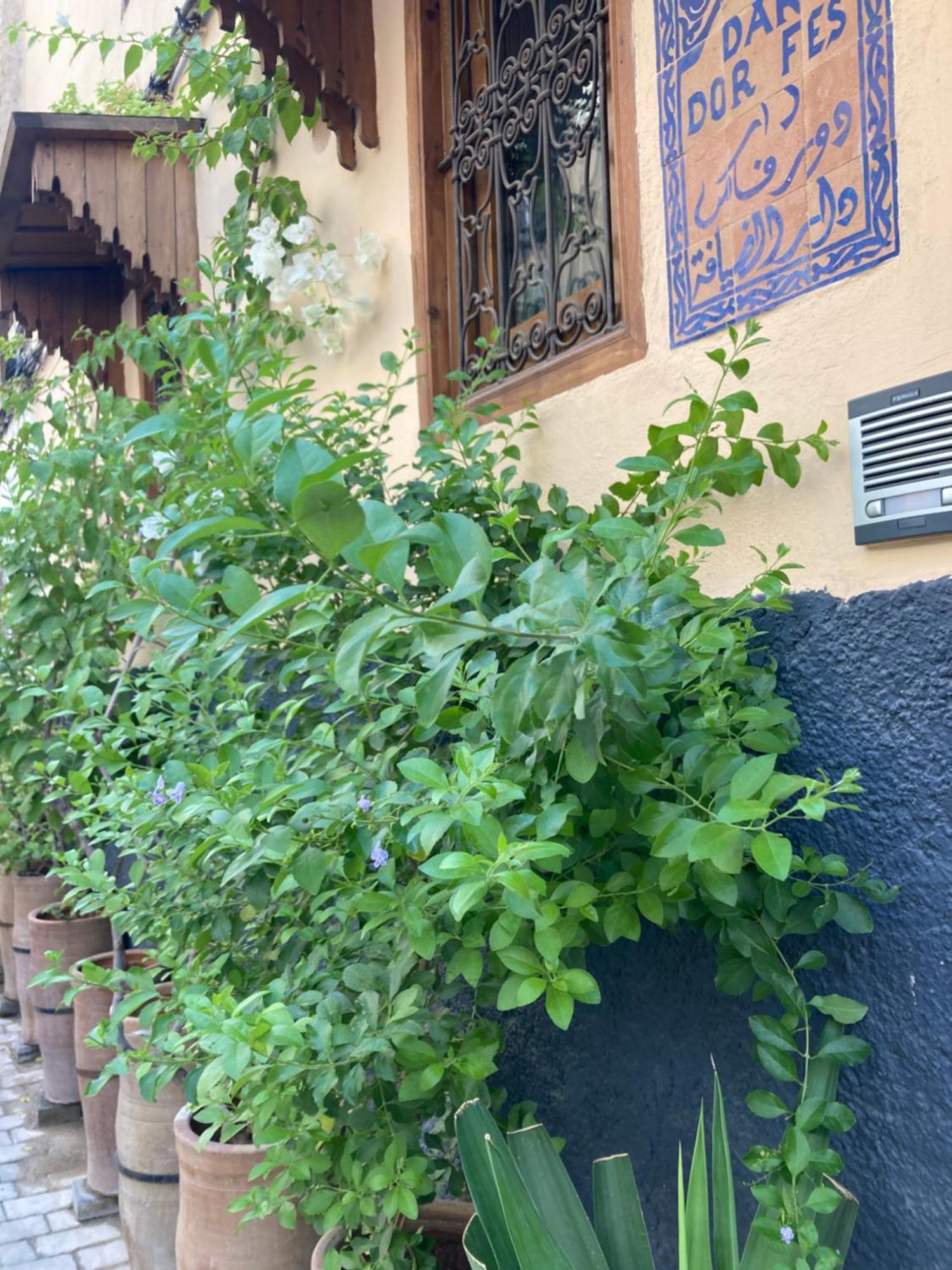 Dar D'Or Fes Hotel Exterior photo